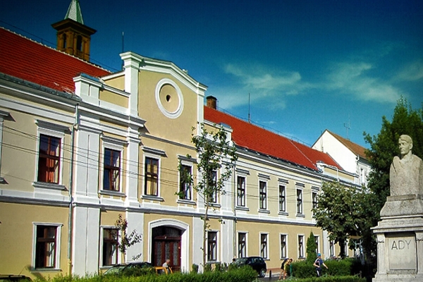 Casa Comitatului, Oradea